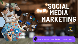 Read more about the article The Ultimate Guide to Social Media Marketing Services